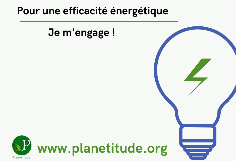 découvrez les enjeux et les solutions pour un avenir énergétique durable, alliant innovation, efficacité et respect de l'environnement pour un monde meilleur.