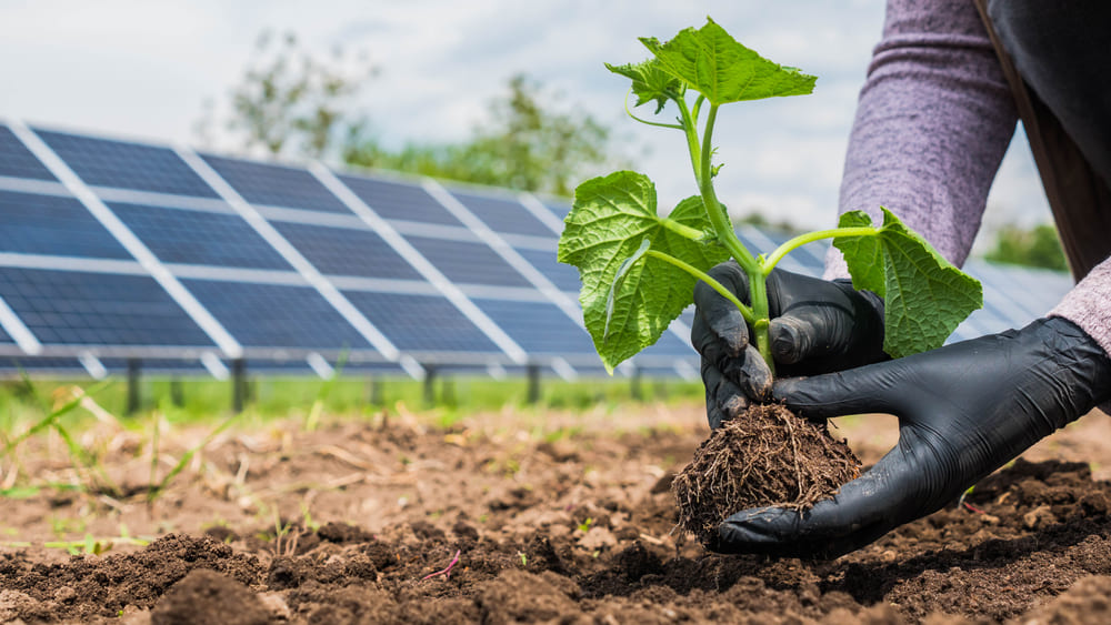 découvrez les tendances et innovations des panneaux solaires pour un avenir durable. explorez comment cette énergie renouvelable transforme notre monde et réduit notre empreinte carbone.