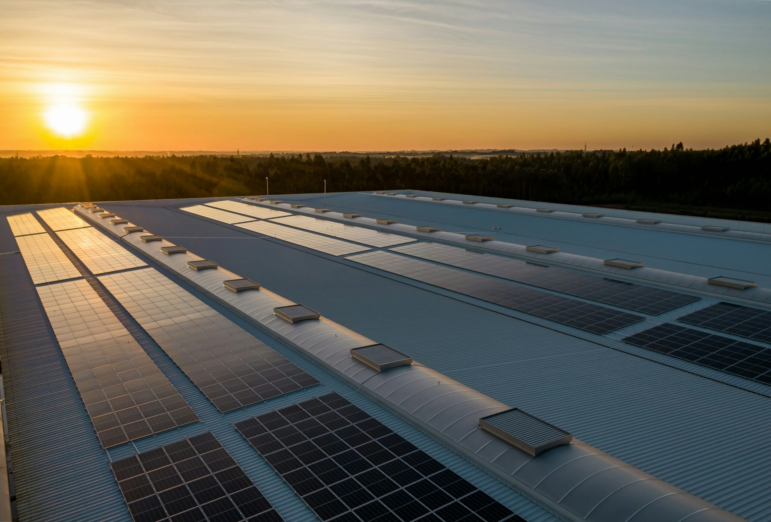 découvrez l'avenir solaire : une exploration des technologies innovantes, des solutions durables et des opportunités pour un monde alimenté par l'énergie solaire. engagez-vous pour un futur plus vert et éclairé.