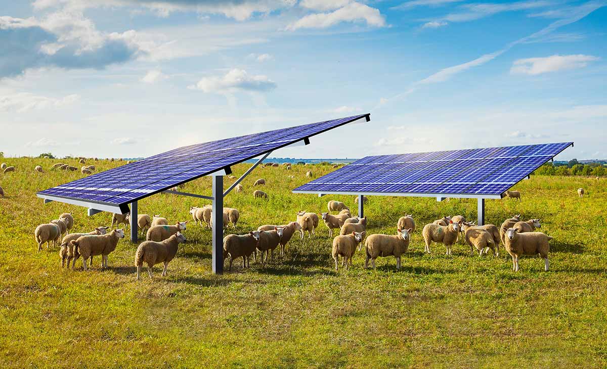 découvrez les avis sur irisolaris, une plateforme innovante dédiée à l'énergie solaire. explorez les retours d'expérience des utilisateurs, les points forts et les axes d'amélioration pour mieux appréhender cette solution énergétique durable.
