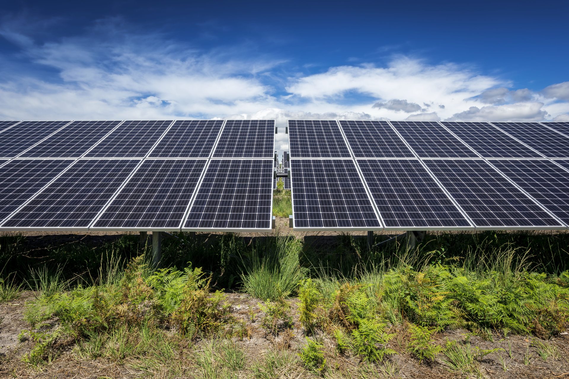 découvrez notre analyse approfondie des avis sur les panneaux solaires engie. comparez les caractéristiques, les performances et les retours d'expérience des utilisateurs pour faire le meilleur choix en matière d'énergie renouvelable.