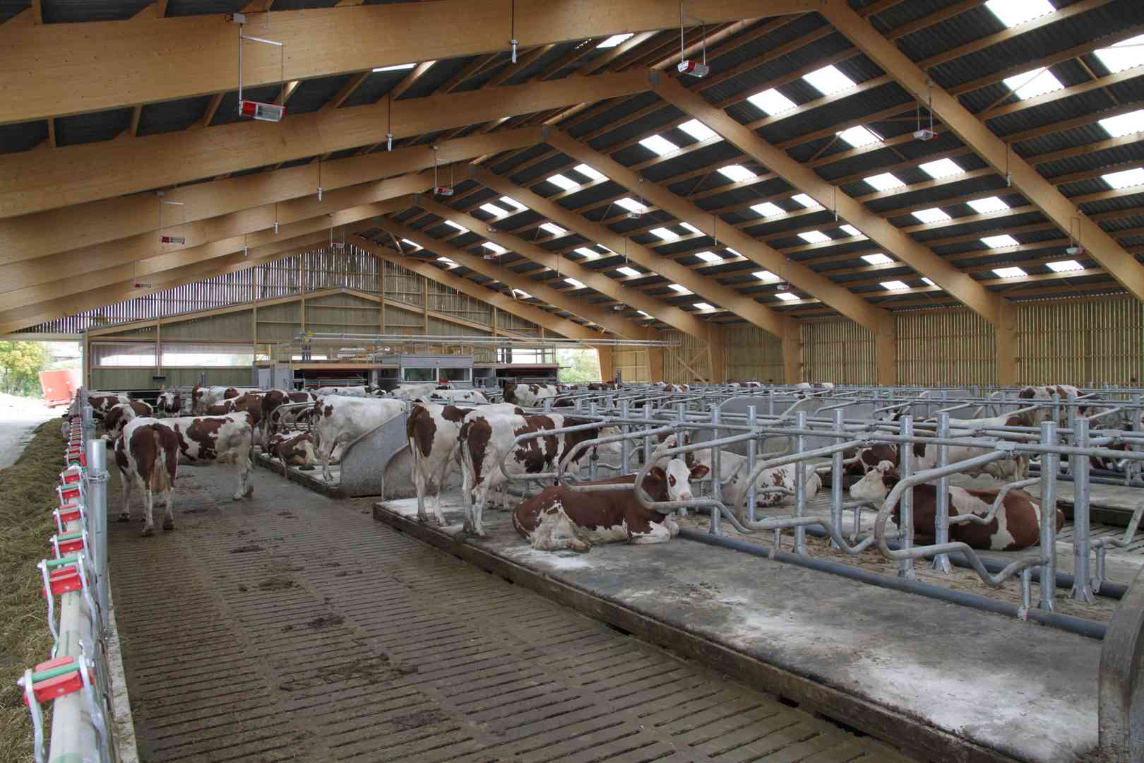 découvrez l'univers du bâtiment agricole : des solutions innovantes et durables pour optimiser vos exploitations, alliant performance et respect de l'environnement.