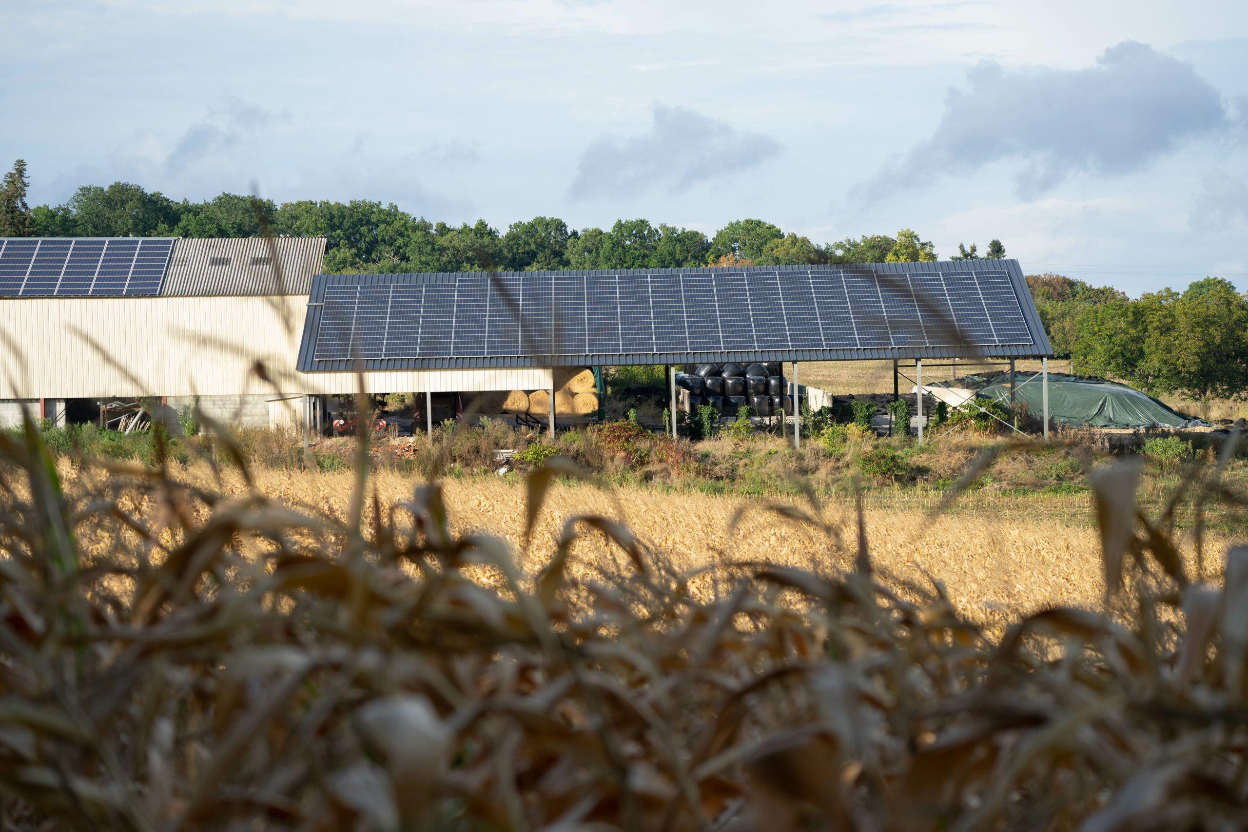 découvrez comment les bâtiments agricoles solaires allient durabilité et efficacité énergétique, tout en favorisant une agriculture moderne et respectueuse de l'environnement.
