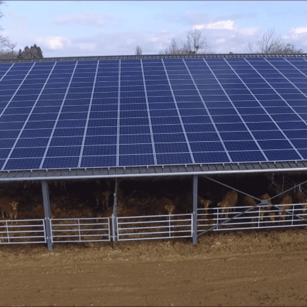 découvrez les avantages des bâtiments agricoles solaires, une solution innovante et durable pour allier agriculture et énergies renouvelables. optimisez vos espaces tout en réduisant votre empreinte carbone grâce à des constructions adaptées et performantes.