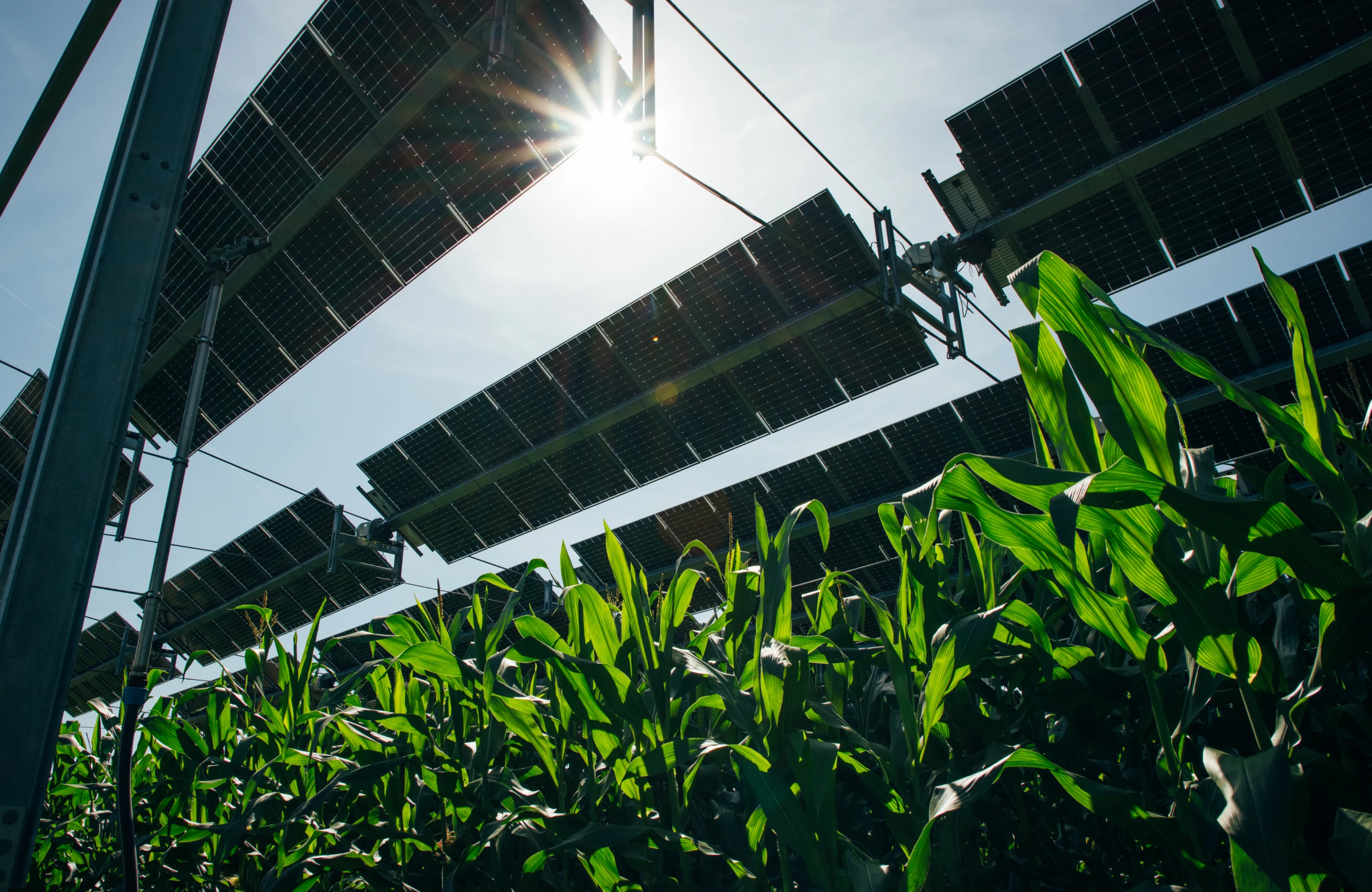 découvrez comment le bâtiment éco-héros transforme l'énergie solaire en une ressource durable grâce à l'installation de panneaux solaires innovants. engagez-vous pour l'environnement tout en réduisant vos factures d'énergie.