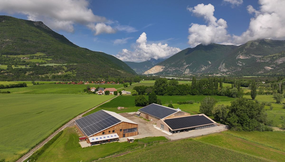 découvrez comment les bâtiments agricoles peuvent être optimisés avec des solutions photovoltaïques, alliant performance énergétique et durabilité. maximisez vos ressources tout en préservant l'environnement.
