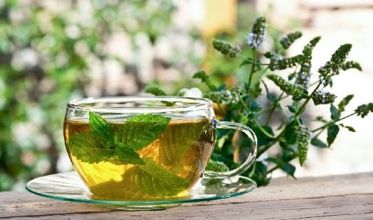 découvrez les bienfaits de l'activ'thé, une approche innovante alliant activité physique et bien-être mental. améliorez votre santé globale, boostez votre énergie et trouvez l'équilibre grâce à des techniques simples et efficaces. profitez d'une vie active et épanouie !