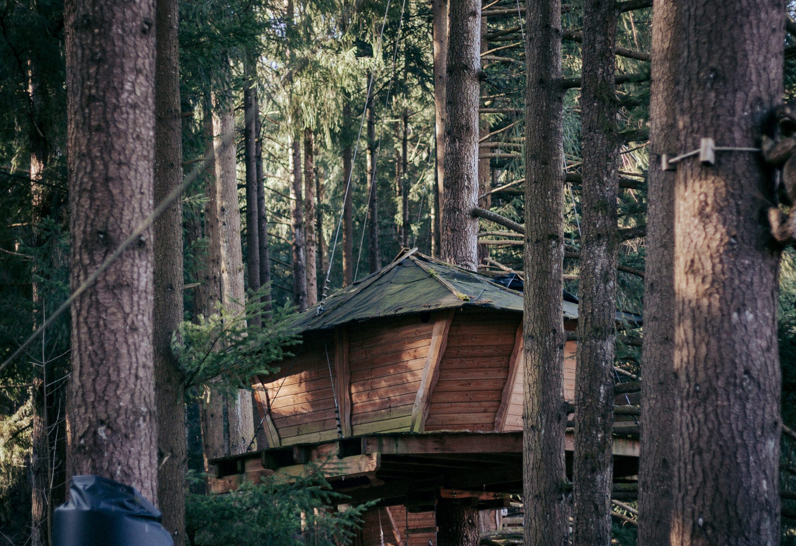 découvrez notre cabane énergétique, un espace unique dédié au bien-être et à la régénération. évadez-vous dans un environnement paisible, où nature et énergie positive se rencontrent pour revitaliser votre esprit et votre corps.