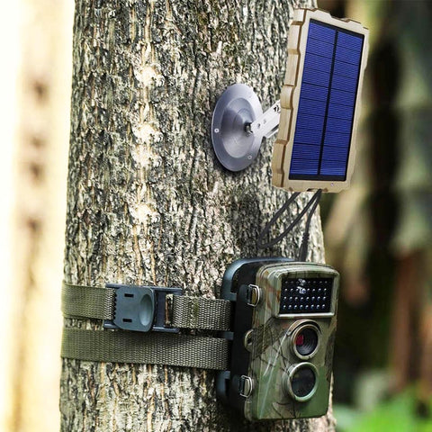 découvrez notre caméra de chasse solaire, idéale pour surveiller la faune tout en étant respectueuse de l'environnement. profitez d'une autonomie prolongée grâce à son système solaire, une qualité d'image exceptionnelle et une installation facile pour capturer chaque moment sans contrainte.