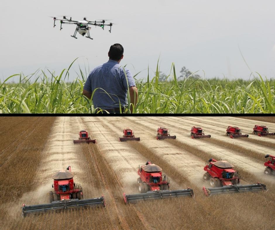 découvrez l'univers de l'agriculture, un secteur essentiel pour la production alimentaire et le développement durable. explorez les techniques, les innovations et les défis auxquels font face les agriculteurs pour nourrir une population mondiale croissante.