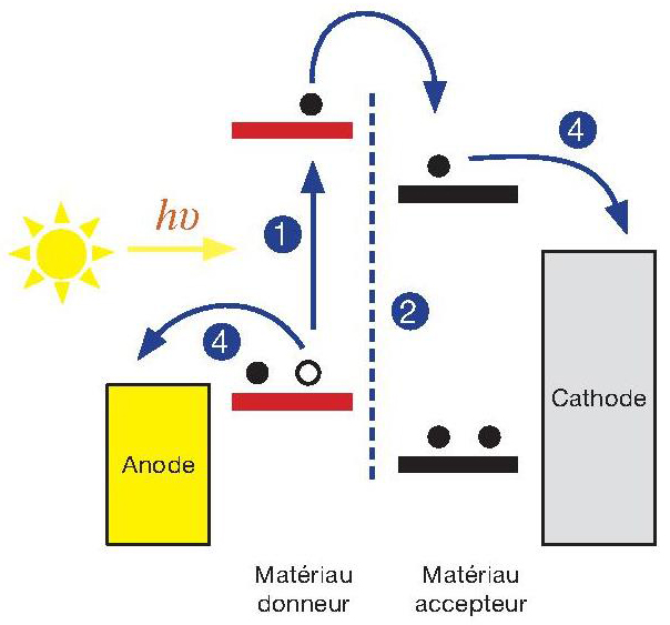 découvrez les cellules photovoltaïques organiques, une technologie innovante et durable pour la production d'énergie solaire. apprenez-en plus sur leurs avantages, leur efficacité et leur impact environnemental.