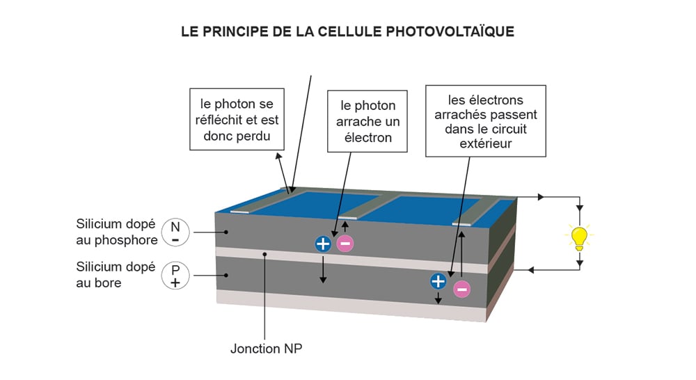 découvrez les cellules photovoltaïques, une technologie clé pour la production d'énergie solaire. apprenez comment elles transforment la lumière du soleil en électricité renouvelable, contribuant à la transition énergétique et à la réduction de votre empreinte carbone.