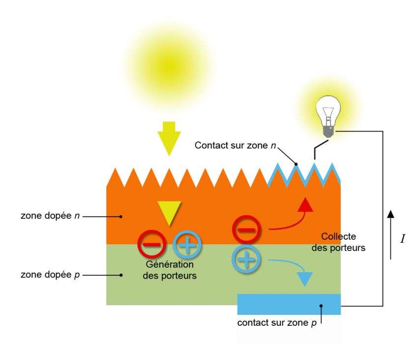découvrez tout sur les cellules photovoltaïques, leur fonctionnement, leurs avantages et leur impact sur l'énergie renouvelable. apprenez comment ces technologies contribuent à un avenir durable tout en réduisant votre facture d'électricité.