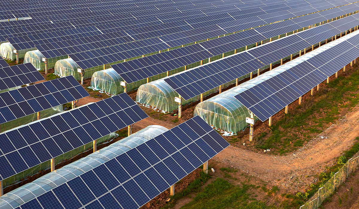 découvrez comment la co-création de panneaux solaires transforme l'énergie durable, favorisant l'innovation collective et des solutions personnalisées pour un avenir écologique. rejoignez la révolution verte et apprenez à collaborer pour un monde plus propre.