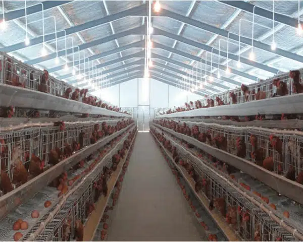 découvrez nos conseils et solutions pour fermer efficacement un hangar. apprenez les meilleures pratiques pour assurer la sécurité et la protection de vos équipements, tout en optimisant l'utilisation de votre espace.