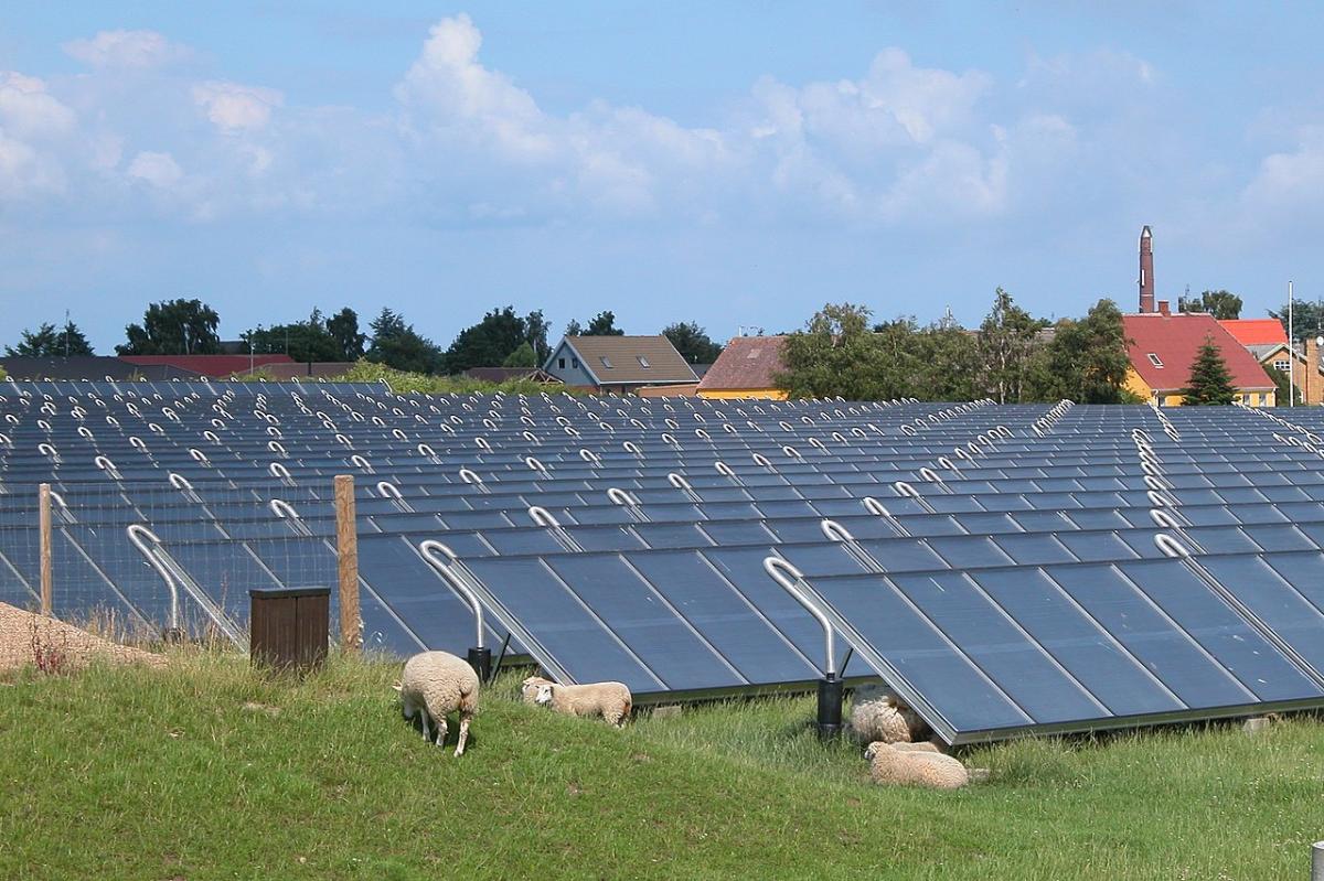 découvrez comment reconnaître un panneau solaire, ses caractéristiques, et les éléments clés à considérer lors de votre choix. apprenez à identifier les différents types de panneaux solaires pour optimiser votre installation et maximiser votre production d'énergie durable.