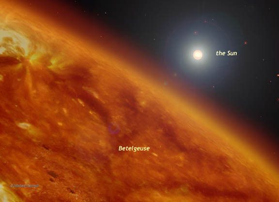 découvrez les différences fascinantes entre le soleil et les étoiles dans notre comparaison approfondie. apprenez comment ces astres influencent notre univers, leur composition, leur fonctionnement, et leur rôle dans l'astronomie.