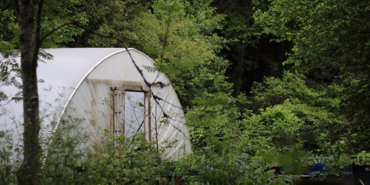 découvrez comment optimiser votre projet de construction sur un terrain agricole de 20m2. explorez nos conseils pour maximiser l'utilisation de l'espace tout en respectant les normes environnementales et réglementaires en matière d'agriculture.