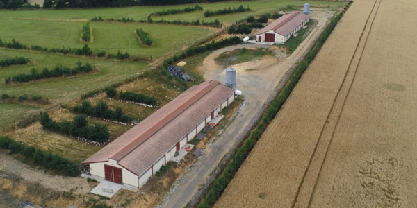 découvrez les possibilités de construction sur un terrain agricole de 20m2. optimisez l'utilisation de votre espace tout en respectant les réglementations en vigueur. idéal pour les projets agricoles, serres ou petits bâtiments. transformez votre terrain en un lieu de production durable!