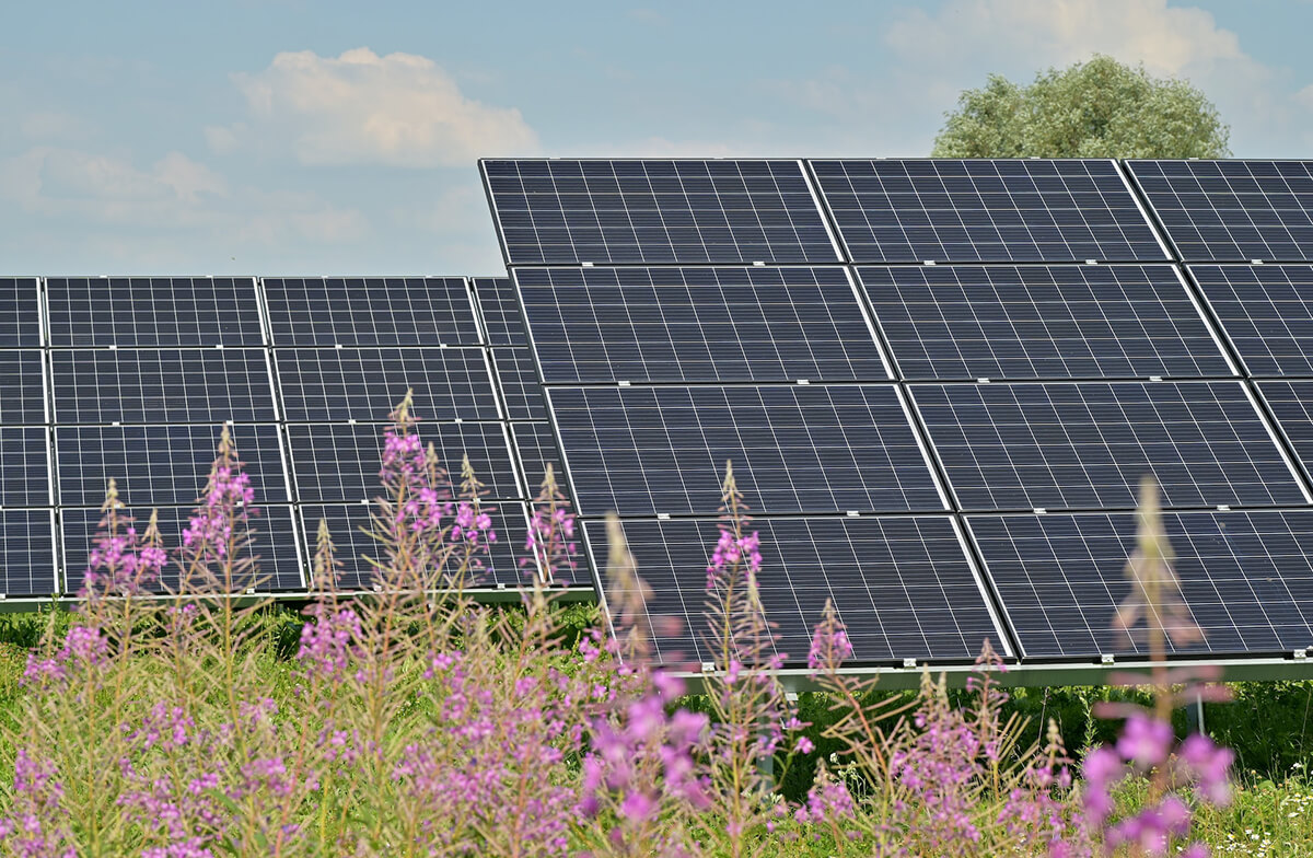 découvrez comment la coopération internationale stimule l'innovation et le développement des panneaux solaires, favorisant une transition énergétique durable à l'échelle mondiale.