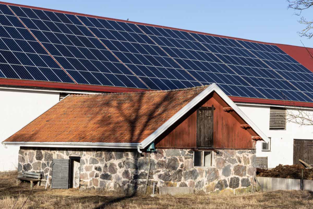 découvrez comment les coûts solaires peuvent devenir rentables pour votre foyer ou votre entreprise. explorez les économies d'énergie, les subventions disponibles et les bénéfices à long terme des installations solaires. optez pour une solution énergétique durable et financièrement avantageuse dès aujourd'hui.