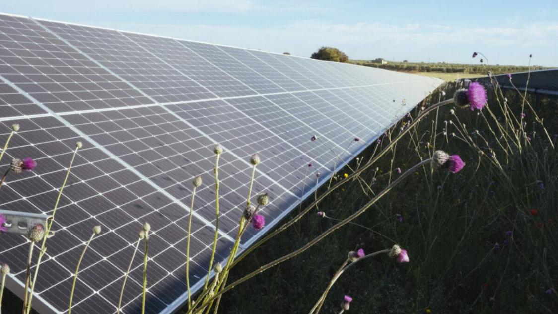 découvrez comment la créativité révolutionne l'utilisation des panneaux solaires pour des solutions énergétiques innovantes et durables. inspirez-vous des projets et idées qui transforment l'énergie solaire en œuvres d'art fonctionnelles.