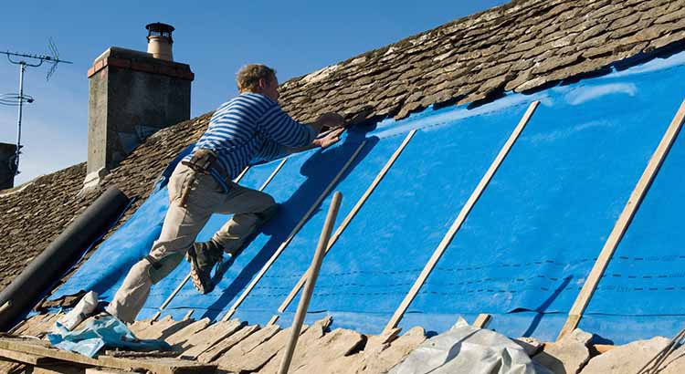 découvrez comment bénéficier du crédit d'impôt pour la rénovation de votre toiture en france. optimisez vos dépenses énergétiques tout en valorisant votre patrimoine grâce à des aides fiscales avantageuses.