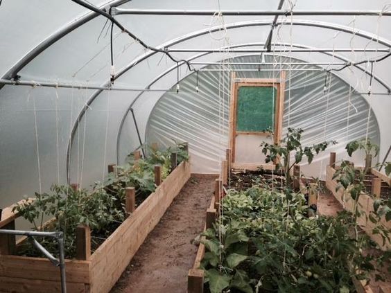 découvrez notre sélection de serres agricoles, idéales pour préserver vos cultures et optimiser la production. offrant une protection contre les intempéries et une gestion optimale de la lumière, nos serres garantissent un environnement adapté à vos plantes. explorez nos modèles variés et choisissez la solution parfaite pour votre jardin ou votre exploitation.