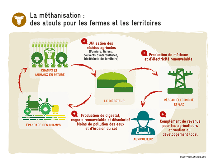 découvrez comment effectuer une demande d'électricité spécifique pour les besoins agricoles. obtenez des conseils pratiques, les démarches nécessaires, et des informations sur les tarifs et les offres destinées aux exploitations agricoles.