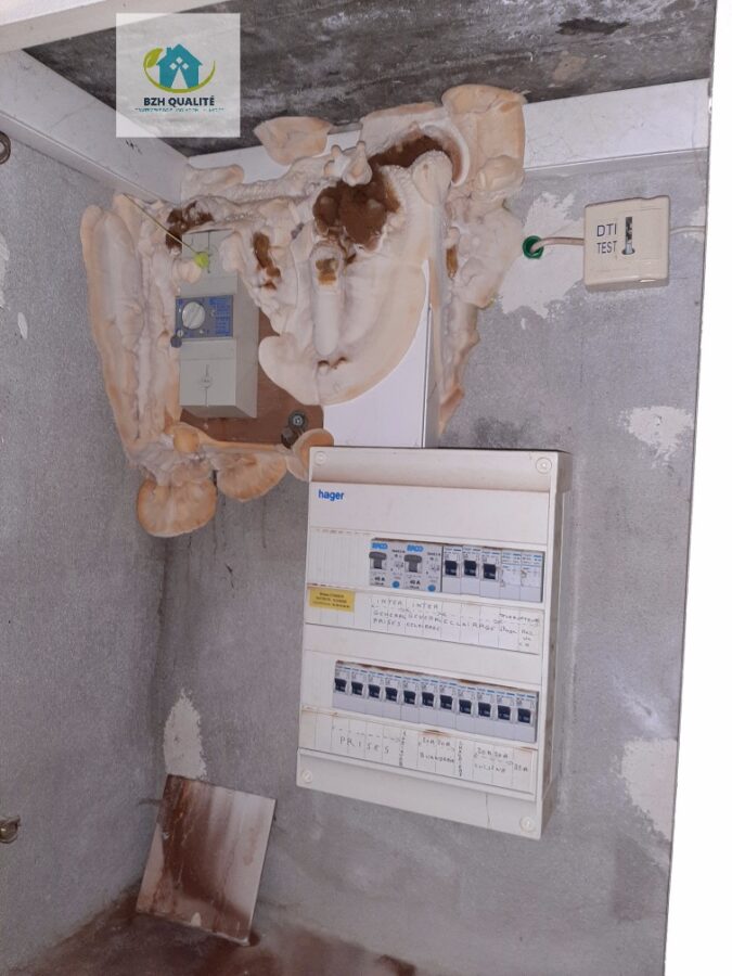 obtenez des devis personnalisés pour vos travaux d'infiltration. comparez les offres des meilleurs professionnels et choisissez la solution adaptée à vos besoins pour protéger votre habitation contre les fuites et les infiltrations d'eau.