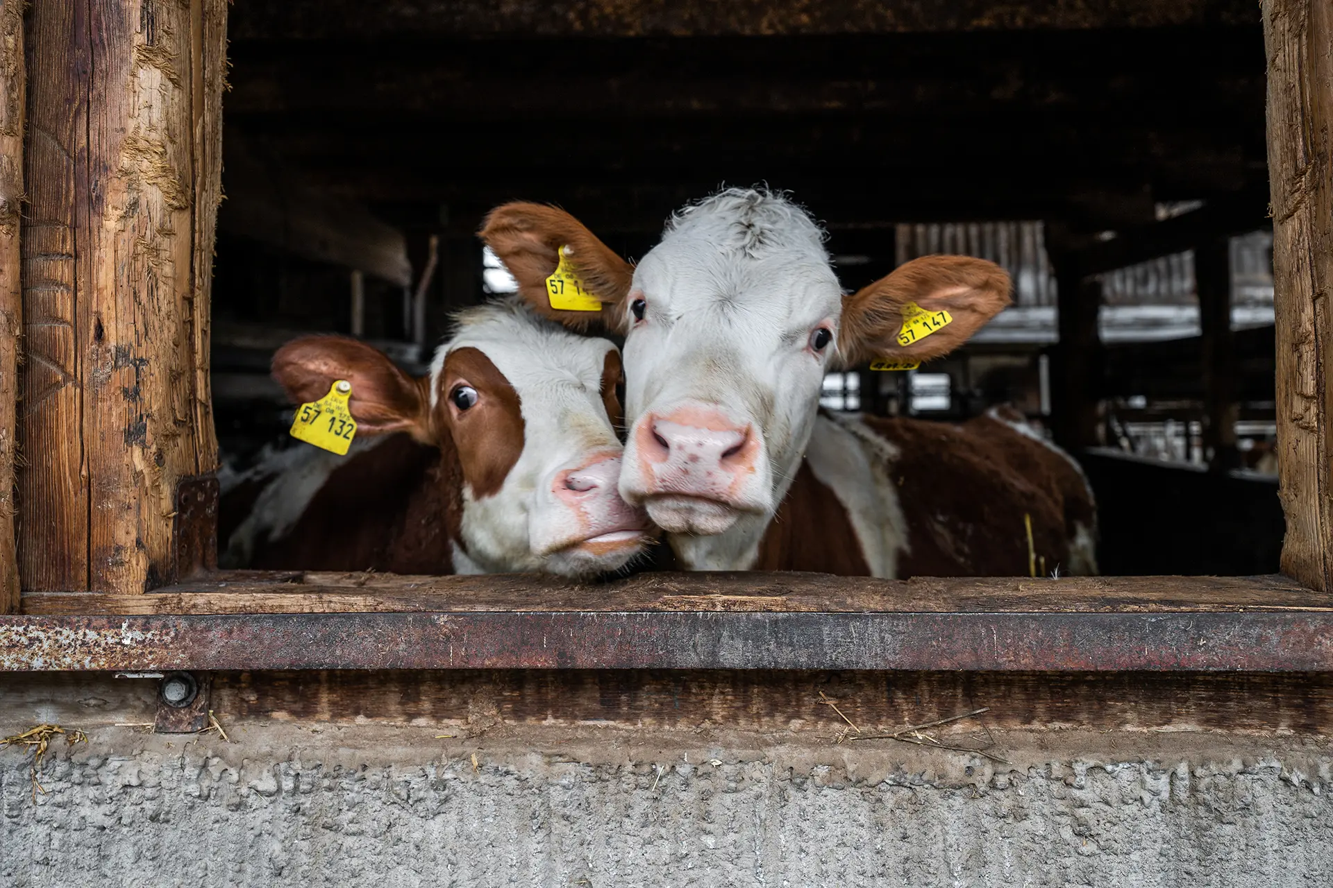 découvrez l'importance de la distance entre les zones agricoles et les habitations pour préserver la santé, l'environnement et le bien-être des communautés. informez-vous sur les réglementations, les avantages et les meilleures pratiques pour un équilibre harmonieux entre agriculture et vie résidentielle.