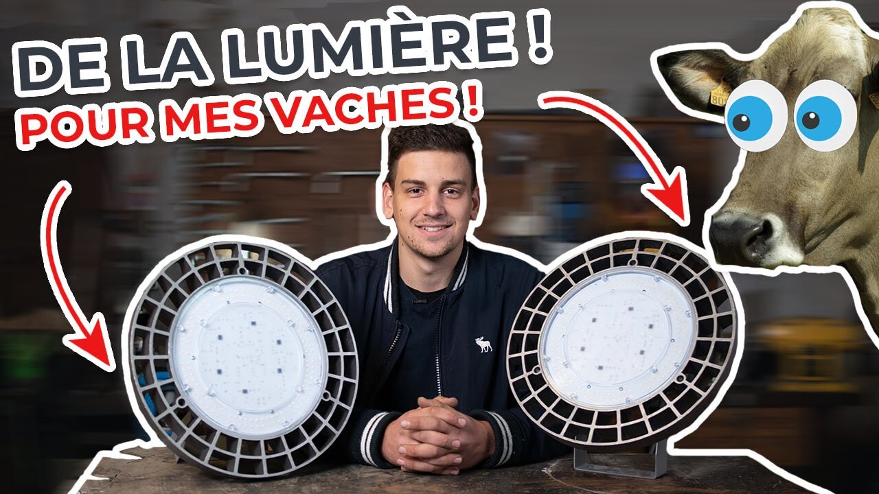 découvrez comment l'éclairage agricole peut transformer votre exploitation en optimisant la croissance des plantes et en améliorant les rendements. explorez des solutions innovantes adaptées à vos besoins spécifiques pour maximiser la productivité de vos cultures.
