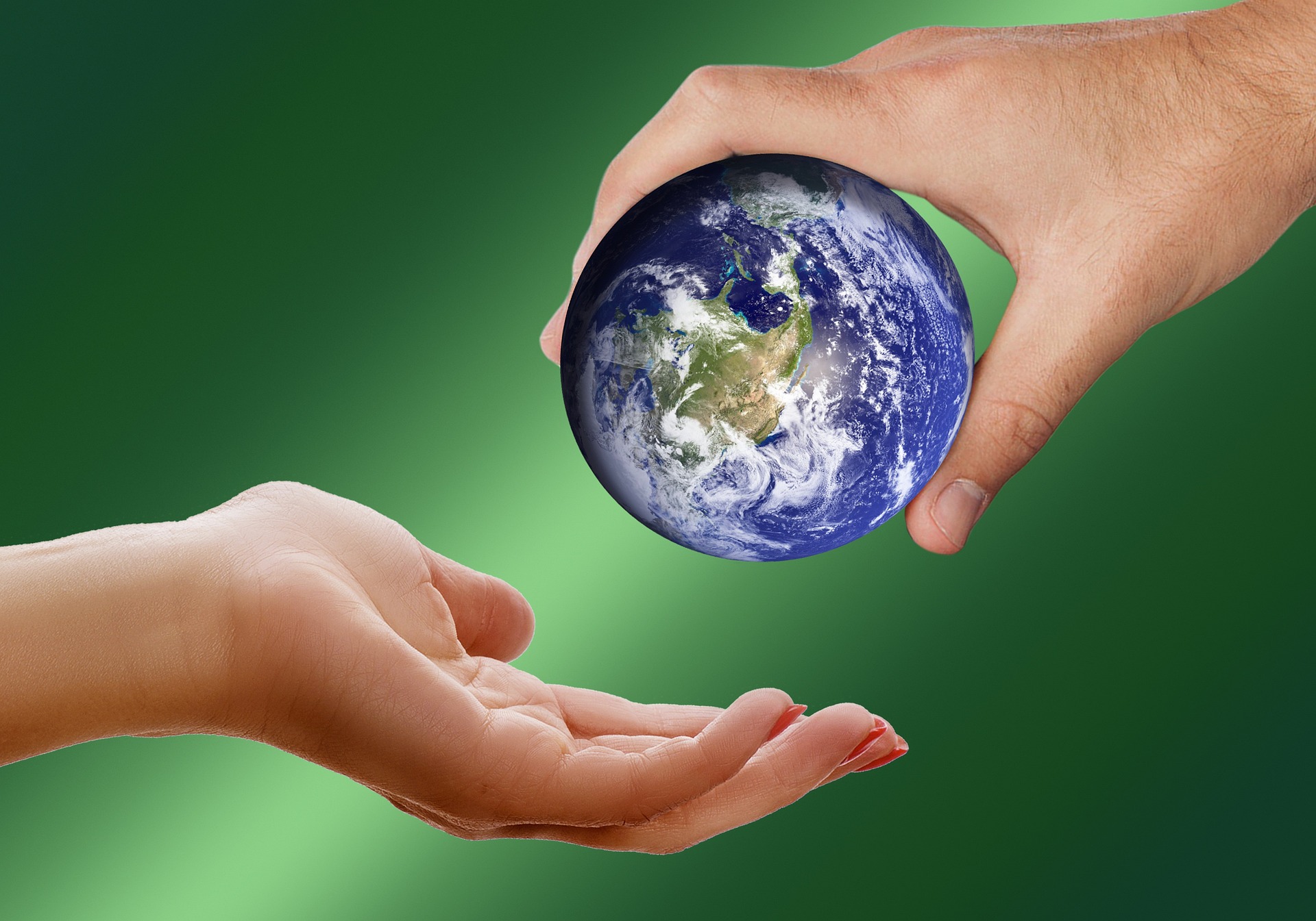 découvrez l'écologie, une science dédiée à l'étude des interactions entre les êtres vivants et leur environnement. apprenez comment préserver notre planète, promouvoir la biodiversité et adopter des pratiques durables pour un avenir meilleur.