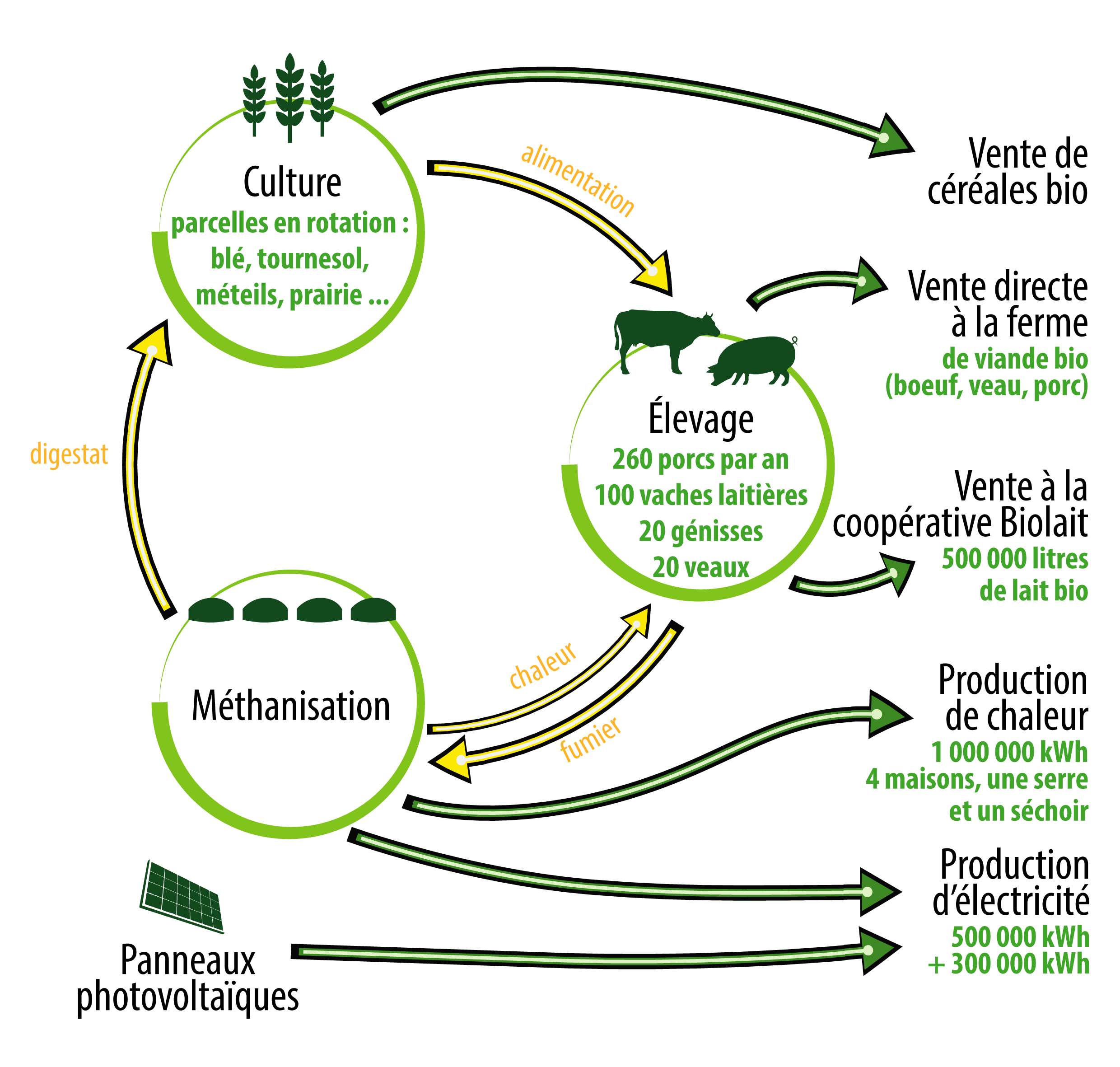 découvrez comment l'économie circulaire transforme l'industrie des panneaux solaires en favorisant la durabilité et la réduction des déchets. apprenez les principes de réutilisation et de recyclage qui rendent l'énergie solaire à la fois respectueuse de l'environnement et économiquement viable.
