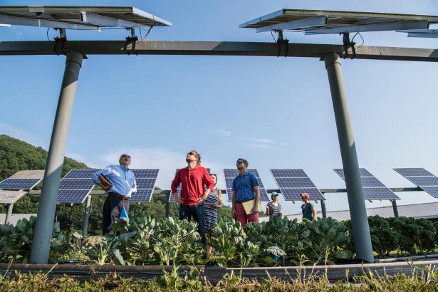 découvrez comment l'économie sociale contribue à la diffusion des panneaux solaires, alliant engagement communautaire et développement durable. explorez les initiatives qui favorisent l'accès aux énergies renouvelables tout en soutenant les projets locaux.