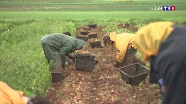découvrez les dernières offres d'emploi agricole sur tf1, votre source d'opportunités pour travailler dans le secteur agricole. explorez les carrières disponibles, les conseils pratiques et les tendances du marché pour réussir dans ce domaine en pleine évolution.