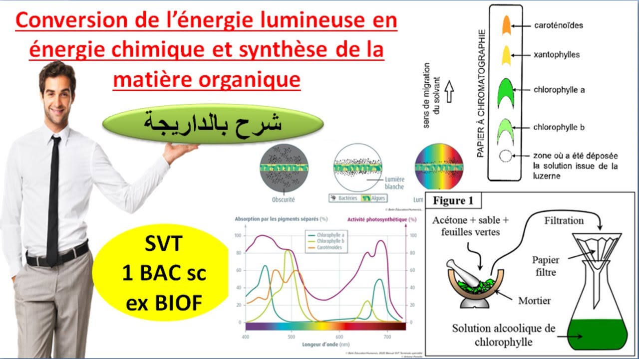 découvrez l'énergie chimique, une forme fondamentale d'énergie stockée dans les liaisons des molécules. explorez ses applications, son importance dans les réactions chimiques et son rôle dans la vie quotidienne. apprenez comment elle alimente tout, des centrales électriques aux processus biologiques.