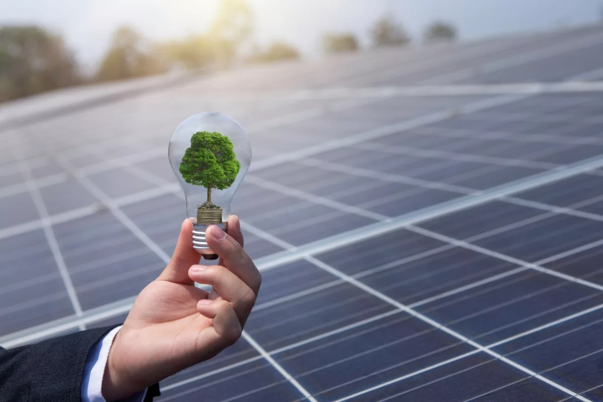 découvrez l'énergie solaire durable, une solution écologique et renouvelable pour répondre à vos besoins énergétiques tout en préservant la planète. adoptez cette technologie innovante pour un avenir plus vert et économisez sur vos factures d'énergie.