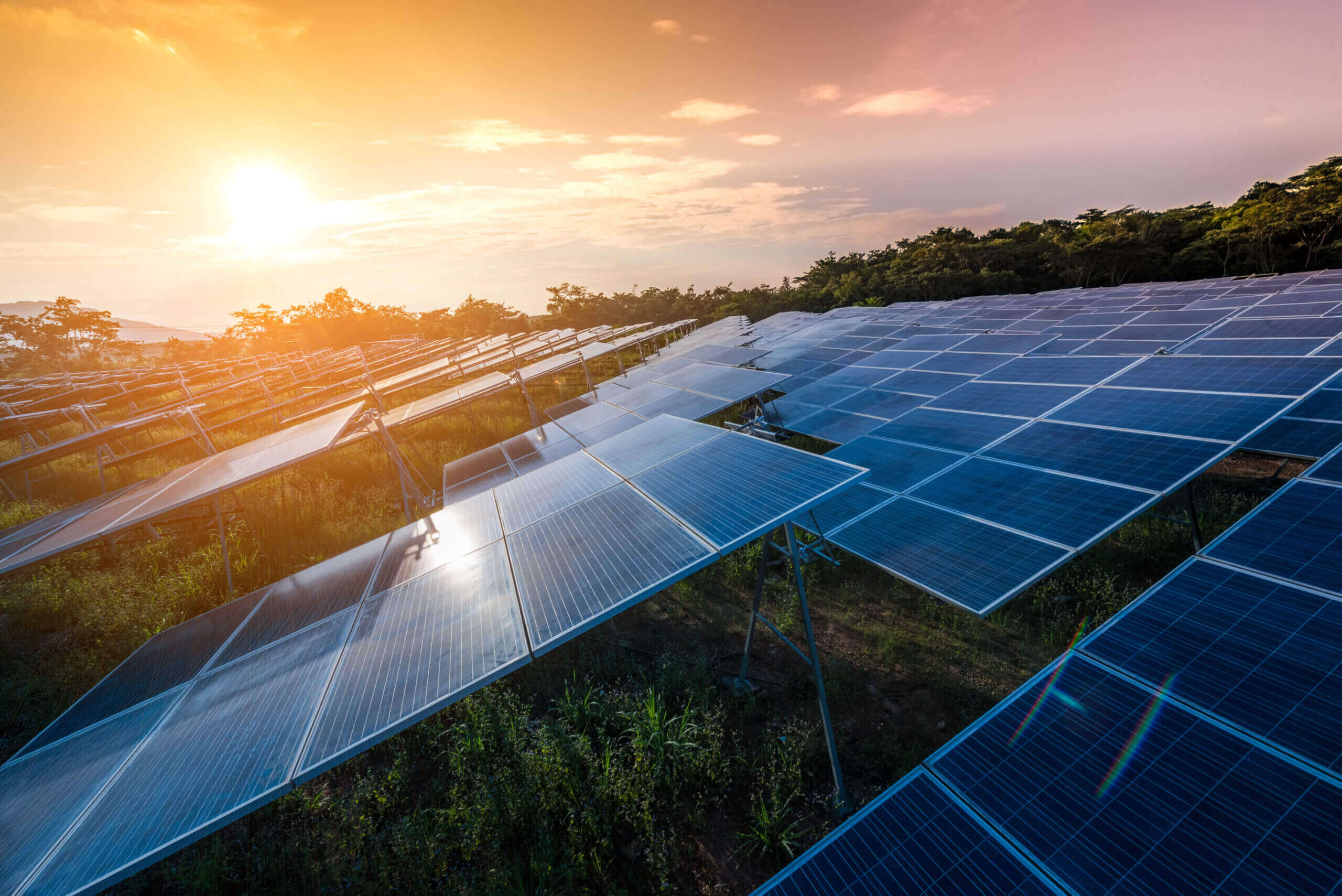 découvrez les avantages de l'énergie solaire durable : une solution écologique et renouvelable qui réduit votre empreinte carbone tout en générant des économies d'énergie. adoptez une alternative responsable pour un avenir plus vert.
