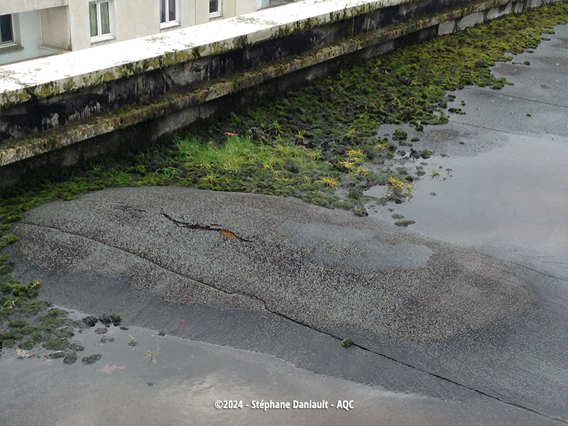découvrez l'importance de l'étanchéité pour protéger votre habitation des infiltrations d'eau. nos solutions innovantes garantissent une protection durable et efficace contre l'humidité. assurez le confort de votre intérieur grâce à des matériaux et techniques de pointe.