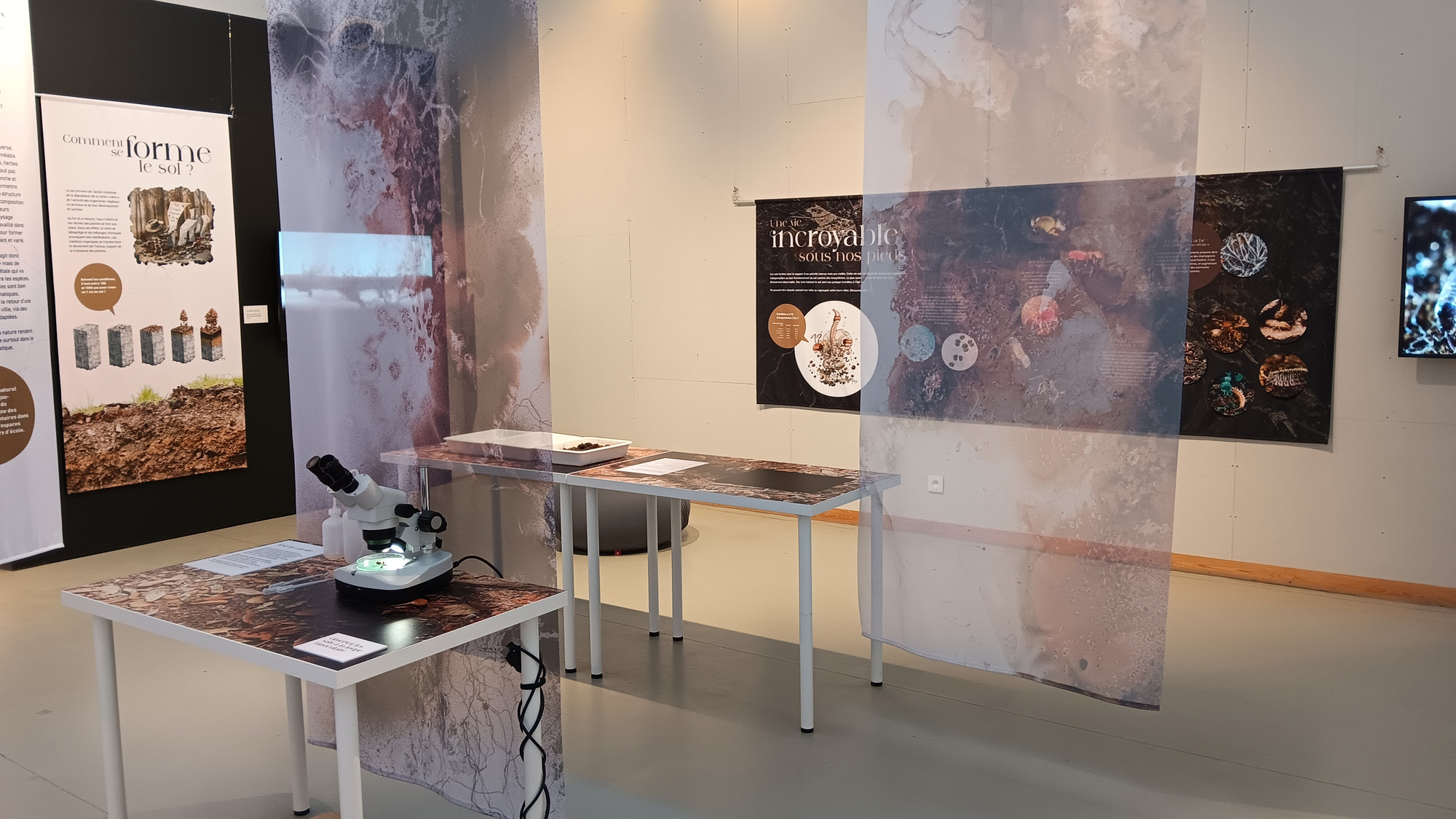 découvrez notre exposition dédiée à l'univers fascinant du sol. plongez dans la richesse de la biodiversité, les écosystèmes et l'importance des sols pour notre planète. un événement incontournable pour les passionnés de nature et d'écologie!