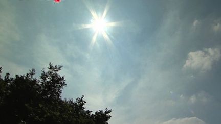découvrez l'exposition soleil, un événement captivant présentant des œuvres d'art et des installations inspirées par la lumière du soleil. plongez dans un univers coloré et éclatant où chaque pièce raconte une histoire unique à travers la chaleur et la luminosité. ne manquez pas cette expérience incontournable qui illumine le printemps !