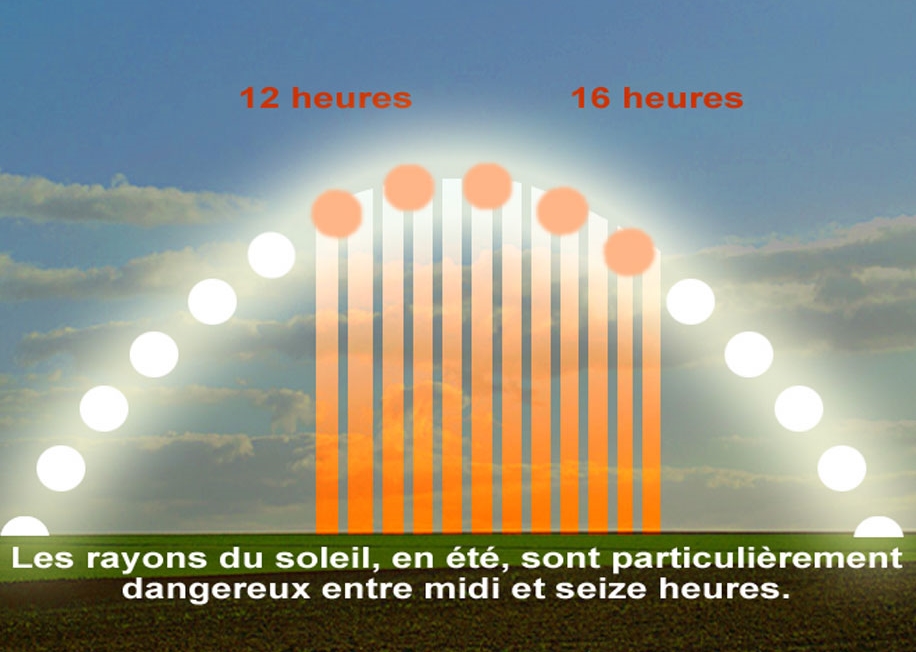 découvrez l'exposition solaire optimale tout au long de la journée grâce à notre exposition 'soleil heure'. apprenez à maximiser la lumière naturelle dans votre espace de vie, tout en comprenant l'importance de l'ensoleillement pour votre bien-être et votre environnement. rejoignez-nous pour une exploration passionnante de l'influence du soleil sur notre quotidien.