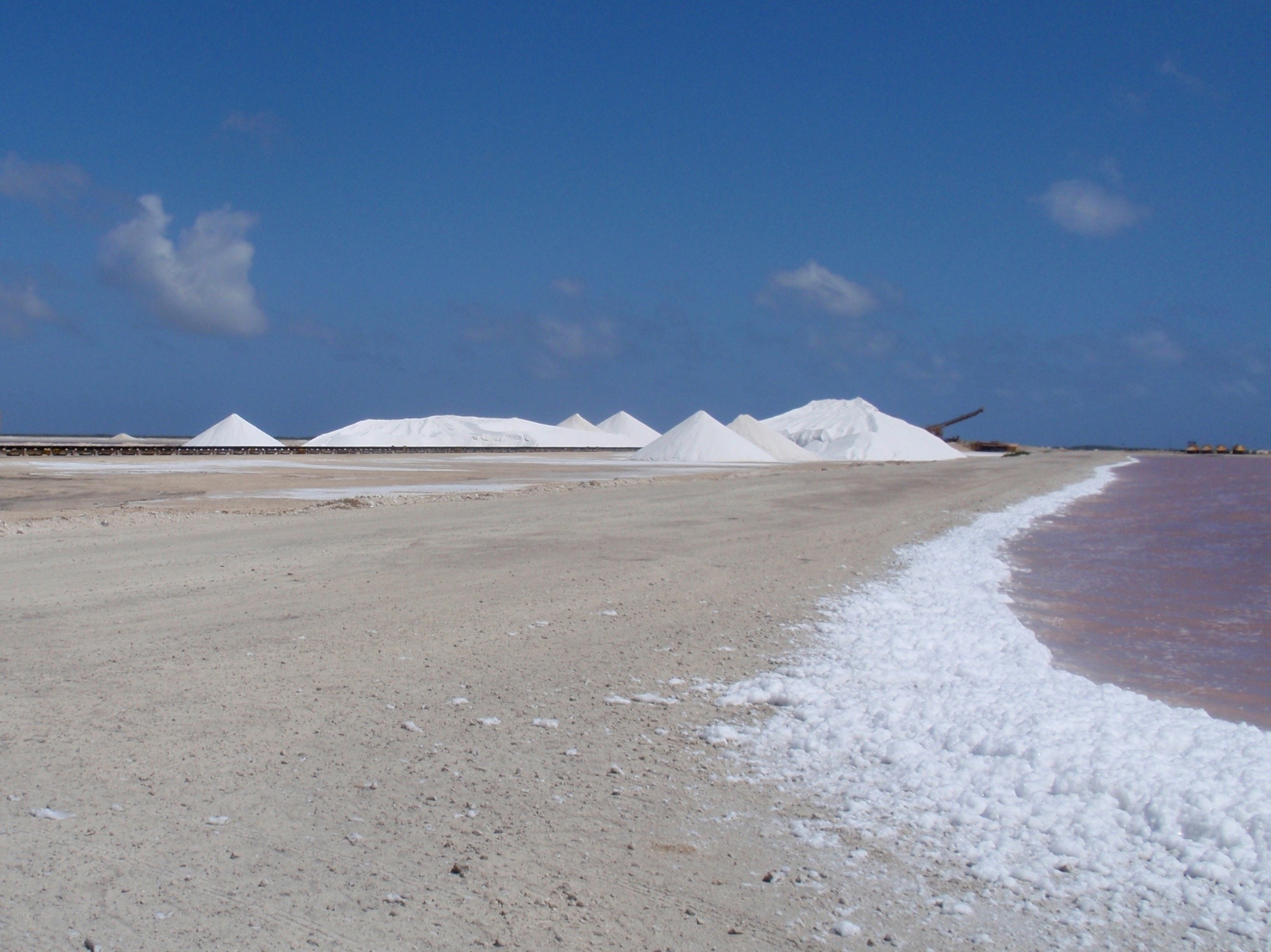 découvrez des astuces et techniques efficaces pour faire fondre la neige rapidement, que ce soit pour le déneigement de votre allée ou pour préparer votre jardin au printemps. apprenez à utiliser des méthodes écologiques et des solutions simples pour faciliter l'entretien de votre espace extérieur pendant l'hiver.