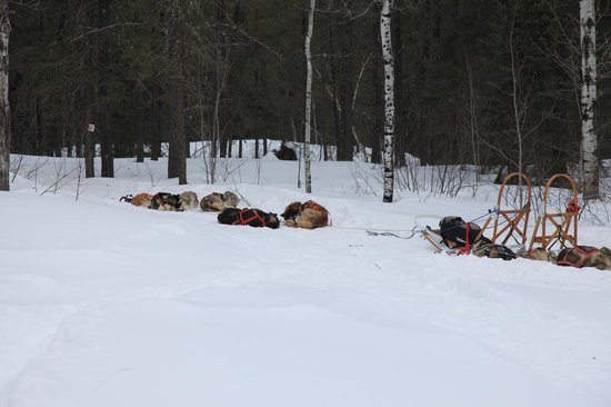 découvrez des méthodes simples et efficaces pour faire fondre la neige rapidement. que ce soit pour votre jardin, votre allée ou votre voiture, apprenez les meilleures techniques et astuces pour lutter contre l'accumulation de neige cet hiver.