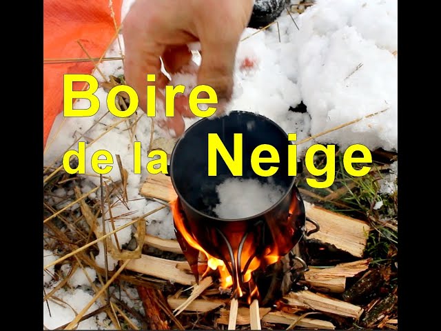 découvrez des astuces efficaces pour faire fondre la neige rapidement et en toute sécurité. que ce soit pour assainir vos allées ou rendre votre espace extérieur plus praticable, nos conseils pratiques vous aideront à retrouver une surface dégagée tout en préservant votre environnement.