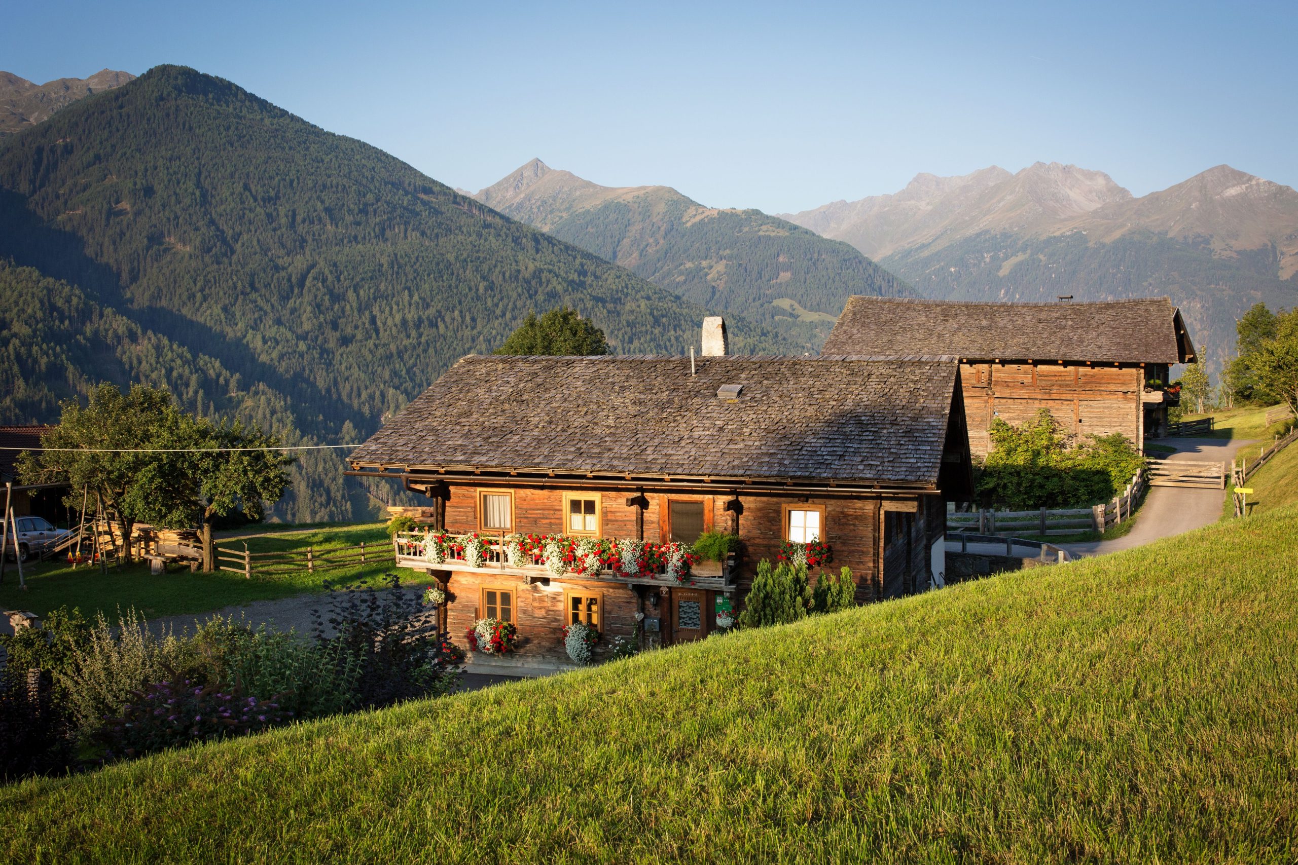 découvrez l'univers authentique de notre ferme, où nature et traditions se rencontrent. profitez de produits frais, d'activités pédagogiques et d'un cadre idyllique pour toute la famille.