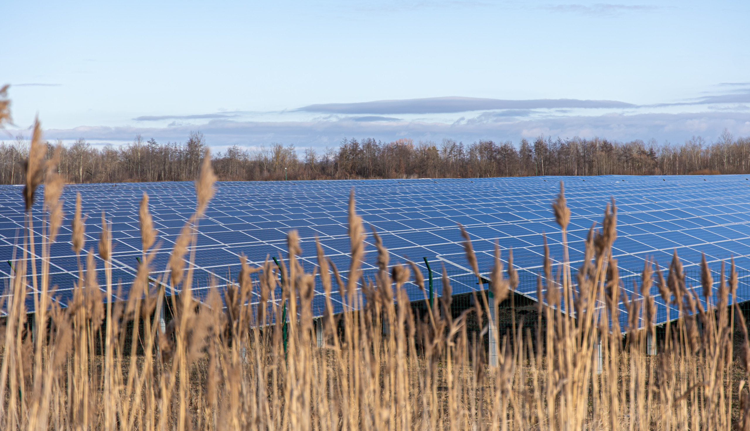 découvrez les avantages des fermes solaires en france : une solution durable pour produire de l'énergie verte, réduire votre empreinte carbone et contribuer à la transition énergétique. explorez les projets innovants et les opportunités d'investissement dans ce secteur en pleine expansion.