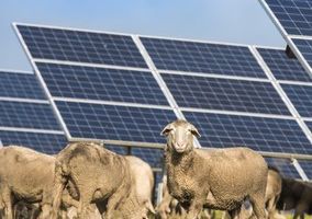 découvrez l'énergie renouvelable avec nos fermes solaires en france. engagez-vous pour un avenir durable en soutenant des projets innovants qui exploitent la puissance du soleil. rejoignez la transition énergétique dès aujourd'hui !