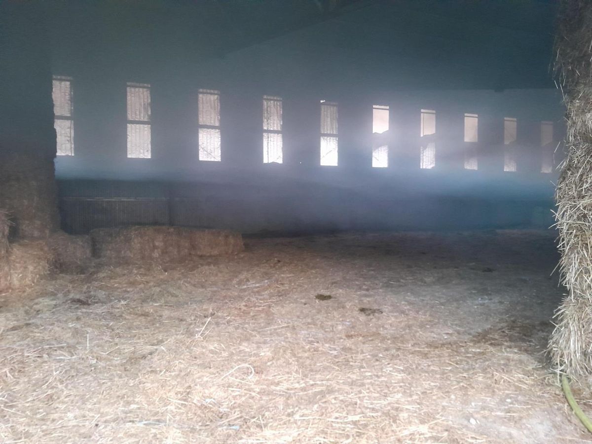 découvrez nos hangars agricoles en hérault, conçus pour répondre à tous vos besoins d'espace de stockage et de travail. profitez d'une construction de qualité, adaptée aux exigences de l'agriculture moderne, tout en bénéficiant d'une localisation stratégique dans le département de l'hérault.